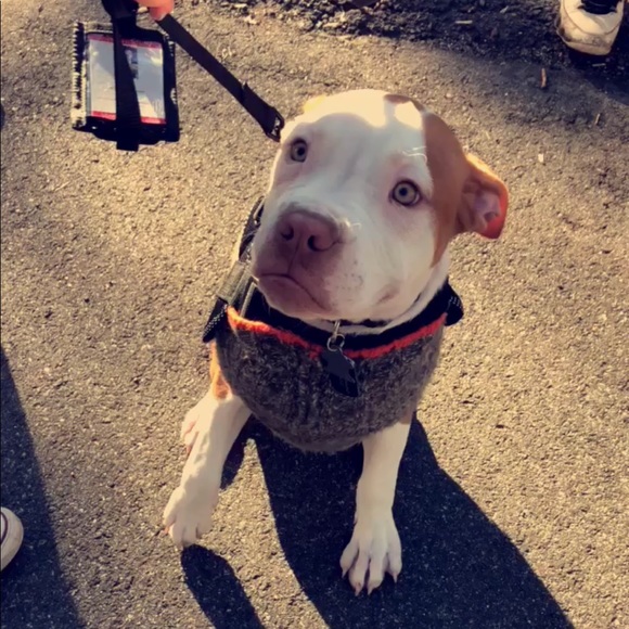 Meet the Posher Other - Meet your Posher, Chris